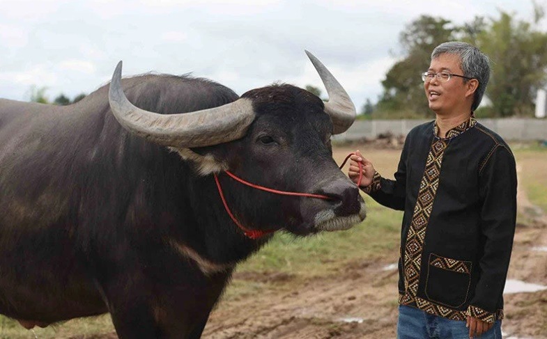 Petani Raih Pendapatan Lumayan Lebih RM100K Sebulan Jual Air Mani Kerbau