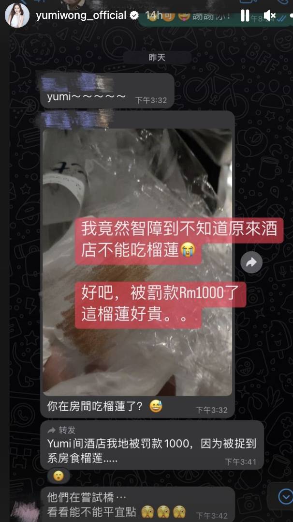 Yumi Wong Durian Chat
